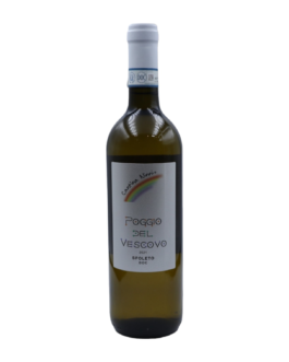 Spoleto Trebbiano Spoletino Doc Poggio del Vescovo 2021 Cantina Ninni