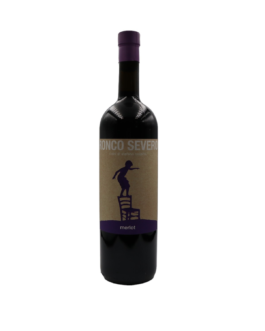 Merlot Friuli Colli Orientali Doc 2021 Ronco Severo